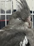 IMG_5413.jpeg