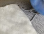 IMG_0522.jpeg