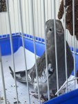 IMG_5426.jpeg