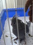 IMG_5430.jpeg