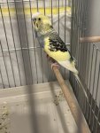 IMG_1469.jpeg