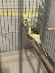 IMG_1470.jpeg