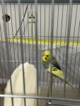 IMG_1346.jpeg