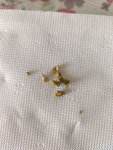 IMG_20261010_154630.jpg