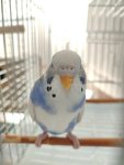IMG_20261010_134313.jpg