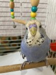 IMG_0567.jpeg