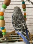 IMG_0571.jpeg