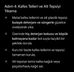 IMG_2585.jpeg
