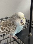 IMG_0110.jpeg