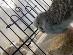 IMG_0114.jpeg