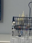 IMG_0102.jpeg