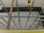 IMG_2590.jpeg