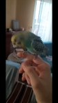 Screenshot_20261017-114303_Video Player.jpg