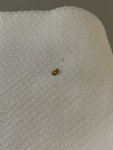 IMG_1649.jpeg
