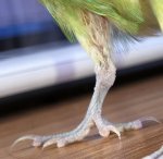 IMG_8190.jpeg
