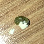 IMG_8192.jpeg