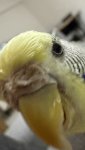 IMG_6940.jpeg