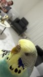 IMG_6941.jpeg
