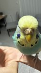 IMG_6939.jpeg