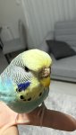 IMG_6938.jpeg