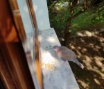 IMG_20220119_233057.jpg