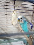 IMG_20220218_201837.jpg