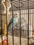 IMG_20220327_201115.jpg