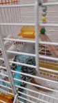 IMG-20220328-WA0005.jpeg