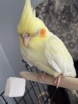 941B5170-E46E-4682-AB0E-D5235BD5B926.jpeg