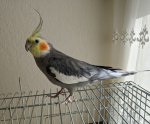 IMG_20220415_113858.jpg