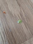 IMG_20220414_082524.jpg