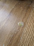 IMG_20220414_082542.jpg