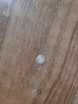 IMG_20220413_084530.jpg