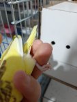 20220520_205116.jpg