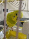 D95D2045-8C3D-4D5C-8FBE-AD4DCBA25FA7.jpeg