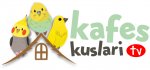 kafes-logo TV JPEG.jpg