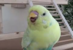 es.png
