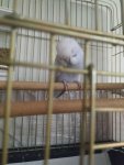 IMG_20220915_204513.jpg