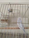IMG_20220915_181922.jpg