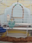 IMG20220916151432.jpg