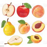 istockphoto-653164666-1024x1024.jpg