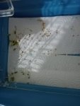 IMG20220917235905.jpg