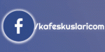 kafeskuslari.com.gif