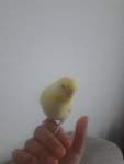 20220920_153546.jpg