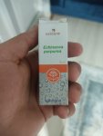 IMG_20220926_004506.jpg