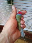 FB_IMG_1587047966758.jpg