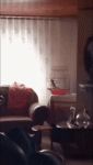 GIF-230330_120813.gif