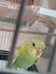 IMG_20230606_095555.jpg