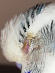 Fotoğraf 3.jpg