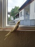 IMG_20230609_172457.jpg